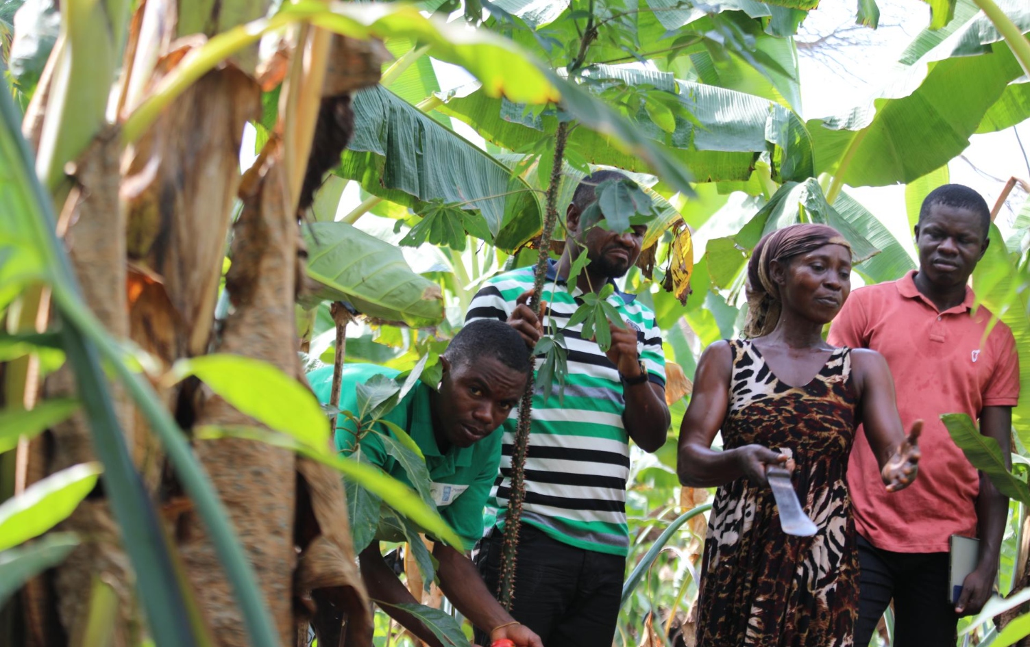 Ghana’s vision for REDD+ Climate and Forests